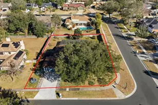 1201 Majestic Palm Ct, Apopka, FL 32712 - Photo 48