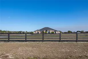 29222 Can Do Ln, Tavares, FL 32778 - Photo 50