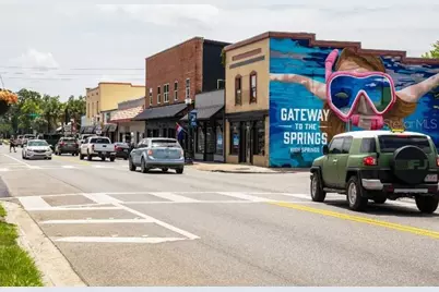 16815 NW 176th Terrace, Alachua, FL 32615 - Photo 20