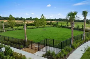 2683 Daisy Fld Ct, Clermont, FL 34711 - Photo 12