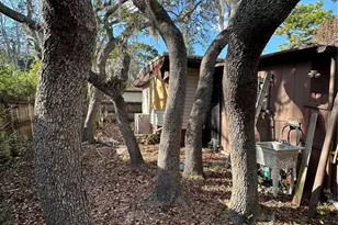 311 N Forest Blvd, Lake Mary, FL 32746 - Photo 4