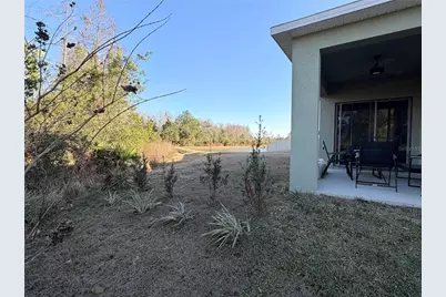 1415 Fox Squirrel Drive, Davenport, FL 33897 - Photo 8