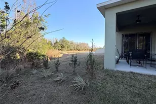 1415 Fox Squirrel Dr, Davenport, FL 33897 - Photo 8