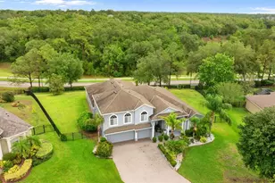 6234 Tremayne Dr, Mount Dora, FL 32757 - Photo 32