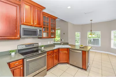 6971 Lucca Street, Orlando, FL 32819 - Photo 8