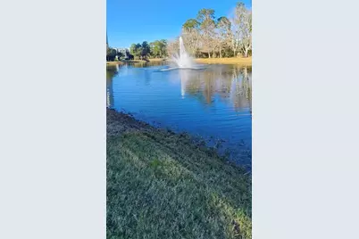 14501 Grove Resort Avenue #2138, Winter Garden, FL 34787 - Photo 40