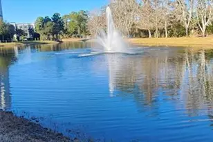 14501 Grove Resort Ave, Winter Garden, FL 34787 - Photo 40