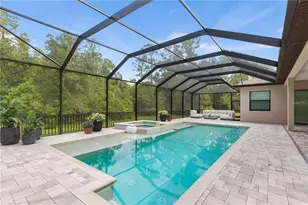 11979 Pasco Trails Blvd, Spring Hill, FL 34610 - Photo 4