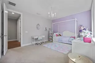 28787 Corbara Pl, Wesley Chapel, FL 33543 - Photo 46