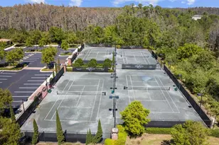 28787 Corbara Pl, Wesley Chapel, FL 33543 - Photo 86