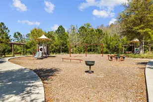 28787 Corbara Pl, Wesley Chapel, FL 33543 - Photo 82