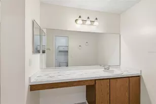 319 Plumwood Cir, Kissimmee, FL 34743 - Photo 20