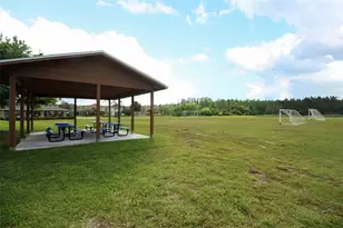 14167 Turning Leaf Dr, Orlando, FL 32828 - Photo 54