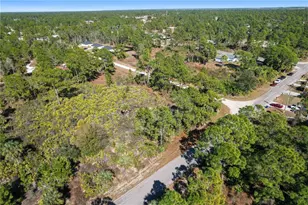 774 Kirkman Ave, Lehigh Acres, FL 33974 - Photo 6