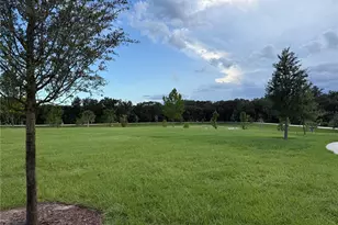 4466 Davos Dr, Clermont, FL 34711 - Photo 10