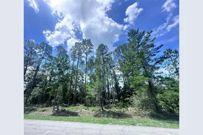 107 S Georgetown Point Road, Georgetown, FL 32139 - Photo 1