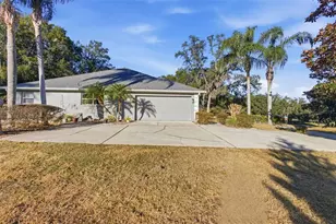 36602 Honey Tree Ct, Eustis, FL 32736 - Photo 8
