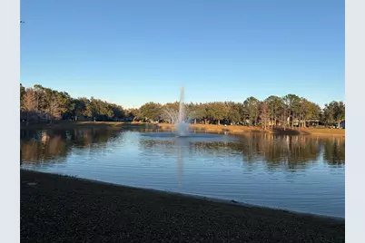 6990 Smithshire Lane, Windermere, FL 34786 - Photo 6