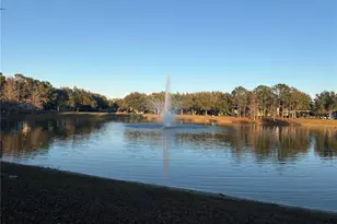 6990 Smithshire Ln, Windermere, FL 34786 - Photo 6