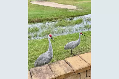 328 St George Drive, Davenport, FL 33837 - Photo 30