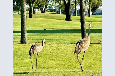 328 St George Drive, Davenport, FL 33837 - Photo 28