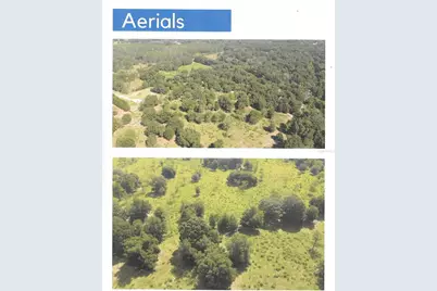 Buckaroo Avenue, Eustis, FL 32726 - Photo 2