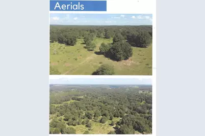 Buckaroo Avenue, Eustis, FL 32726 - Photo 1