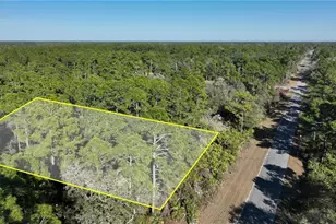 Saffron Ave, Eustis, FL 32736 - Photo 1