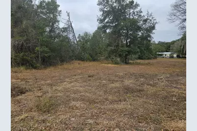Se Highway 42, Weirsdale, FL 32195 - Photo 4