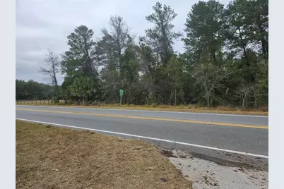 Se Highway 42, Weirsdale, FL 32195 - Photo 6