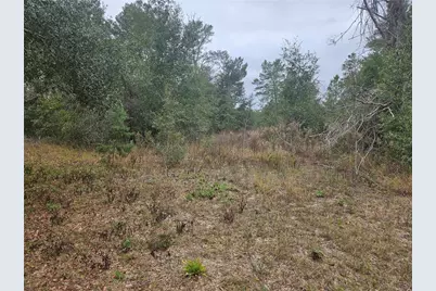 Se Highway 42, Weirsdale, FL 32195 - Photo 2