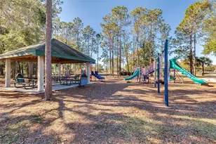 3352 Beazer Dr, Ocoee, FL 34761 - Photo 48