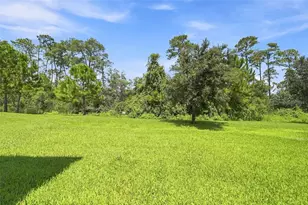 10396 Royal Cypress Way, Orlando, FL 32836 - Photo 22