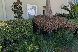 273 Arbor Lakes Dr, Davenport, FL 33896 - Photo 4