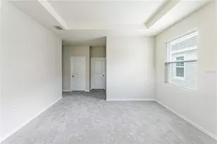 32183 Conchshell Sail St, Wesley Chapel, FL 33545 - Photo 40