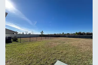 30915 Penny Surf Loop, Wesley Chapel, FL 33545 - Photo 20