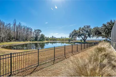 10420 Wittenberg Way, Orlando, FL 32832 - Photo 76