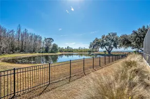 10420 Wittenberg Way, Orlando, FL 32832 - Photo 76