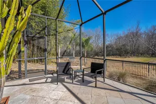 10420 Wittenberg Way, Orlando, FL 32832 - Photo 74