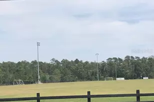 10841 Derringer Dr, Orlando, FL 32829 - Photo 38