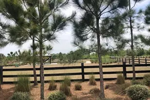 10841 Derringer Dr, Orlando, FL 32829 - Photo 38