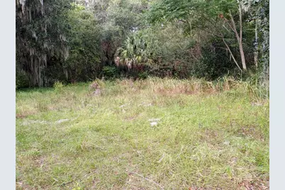 Carver Street, Mims, FL 32754 - Photo 2