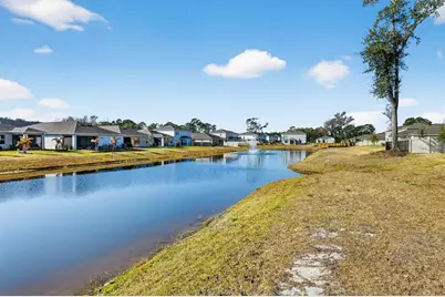 174 Jones Fish Camp Road, Edgewater, FL 32141 - Photo 46