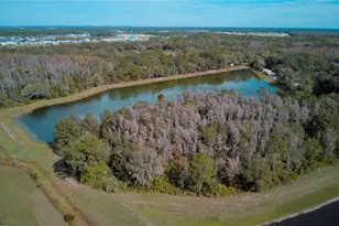 1570 Hubbell Rd, Wesley Chapel, FL 33543 - Photo 20