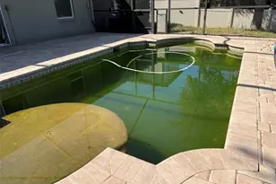 12825 Tikal Way, Trinity, FL 34655 - Photo 58