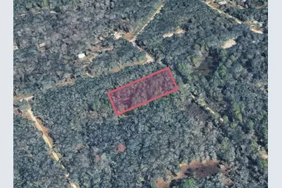 9211 Rousseau Street, Webster, FL 33597 - Photo 1