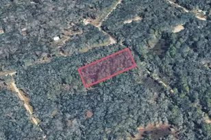 9211 Rousseau St, Ridge Manor Estates, FL 33597 - Photo 1