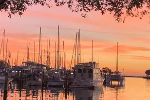 1000 Cove Cay Dr, Clearwater, FL 33760 - Photo 46