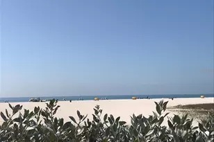 1000 Cove Cay Dr, Clearwater, FL 33760 - Photo 42