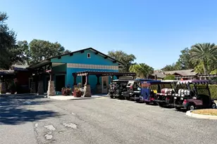 26725 Augusta Springs Cir, Leesburg, FL 34748 - Photo 38